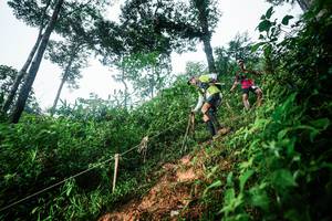 BIB: 
                            <button type="button" onclick="openModal(26201702)" class="btn btn-primary btn-sm float-right btn-popup" data-toggle="modal" data-target=".modal-high-quality">
                        <i class="fas fa-shopping-cart"></i> Add to Cart
                    </button>
                                            <button type="button" onclick="isThisMe(26201702, true)" class="btn btn-success btn-sm float-right btn-popup btn-isme hidden" data-toggle="tooltip" data-placement="bottom" title="นี่คือรูปของคุณใช่ไหม คลิกที่นี่เพื่อเอาเข้าอัลบั้ม">
                        <i class="fas fa-plus"></i> Add to album
                    </button>
                    <button type="button" onclick="isThisMe(26201702, false)" class="btn btn-warning btn-sm float-right btn-popup btn-isnotme hidden">
                        <i class="fas fa-ban"></i> Remove from album
                    </button>